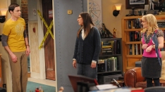 /shows/big_bang_theory/episodes/The Ornithophobia Diffusion