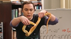 /shows/big_bang_theory/episodes/The Good Guy Fluctuation